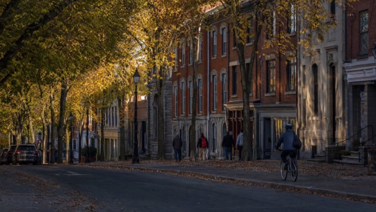 A tree-lined street of three-story brick and stone row houses with arched windows in autumn